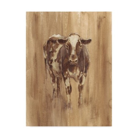 Ethan Harper 'Wood Panel Cow' Canvas Art,14x19